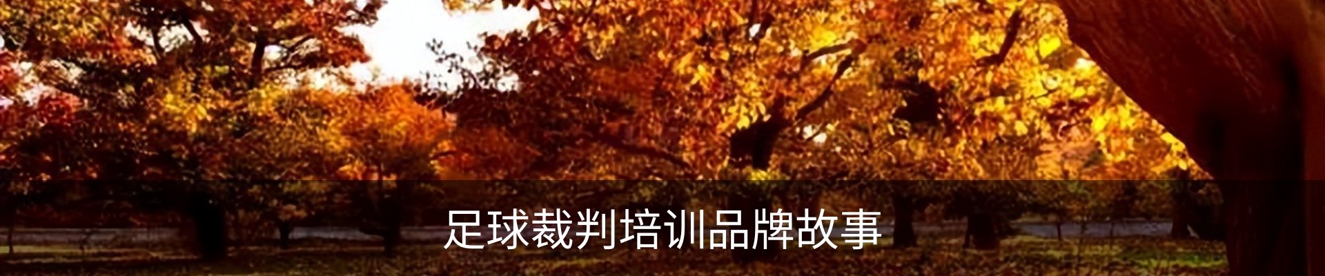足球裁判培训品牌故事